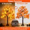 2 Pack 24 Inch Prelit Fall Maple Tree Thanksgiving Decorations with 48 LED Lights Timer Battery Operated Light Up Acorn Maple Tree for Thanksgiving Artificial Fall Autumn Home Indoor Halloween Decor